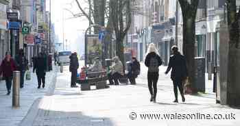 Couple attacked man with hammer and bottle after their dog bit him