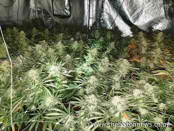 Police raid Tonge Fold house and find cannabis farm