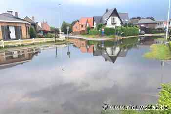 FOTO. Zondvloed zet Kapelleken blank, ook Bosdreef kampt met wateroverlast - Het Nieuwsblad