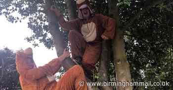 Tamworth pair bring on the madness for Twycross Zoo