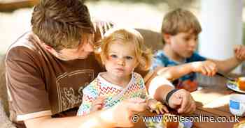 Social bubbles considered for Wales as early as next week