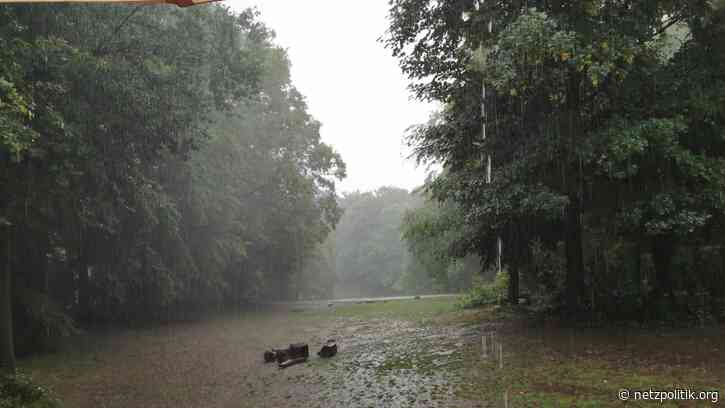 Was vom Tage übrig blieb: Datenstrategie, Digitalsteuer und Durchschnittsgehalt