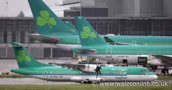 Aer Lingus to cut 500 jobs due to Covid-19 pandemic
