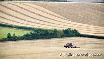 Markets rise as China set to ramp up imports from US farmers