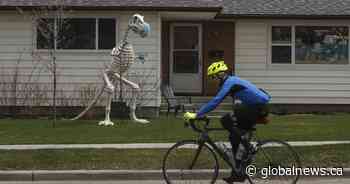 Dr. Deena Hinshaw to update Alberta’s COVID-19 situation Friday afternoon