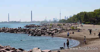 6 beaches in Toronto opening for swimming next week - blogTO