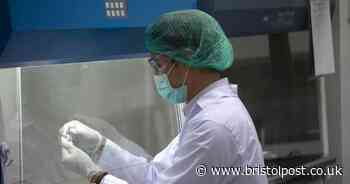 Bristol confirms new case of coronavirus as other areas record none
