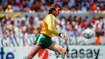 'Big Pat Jennings should have a statue at Windsor Park'