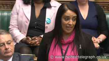 Tories suspend activist over ‘go back to Pakistan’ tweet about British MP