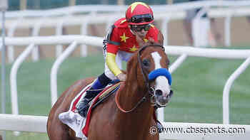 Belmont Stakes odds, predictions 2020: Surprising picks from same expert who's hit five races in a row