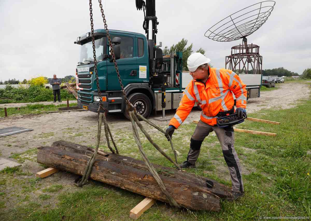 Nieuw leven voor oud hout bij bouw van veertig meter lang zeewaardig fluitschip - Noordhollands Dagblad