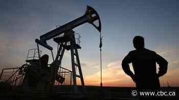 Collapsed Alberta energy company leaves behind 401 'orphan' wells in B.C., more than doubling total