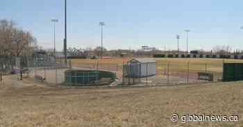 Coronavirus: Regina ball parks, athletic fields to reopen as leagues ready return to play