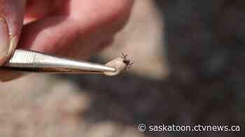 How U of S researchers are using tech to take on ticks