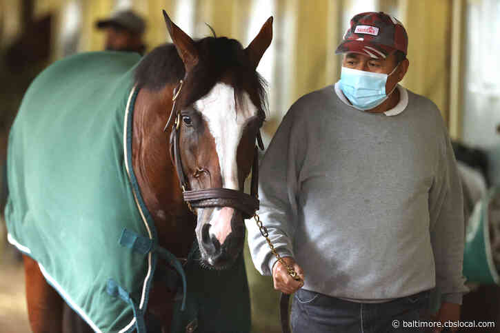 Belmont Sets Pace For Triple Crown, With Tiz The Law Favored