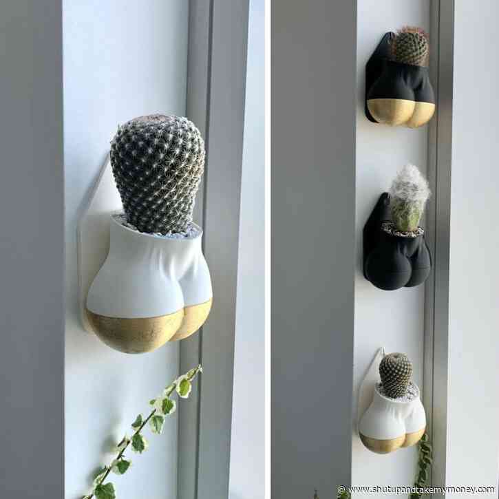 Penis Cactus Wall Hang Planter