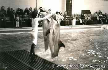 No swimming - unless you were a dolphin at Horwich pool