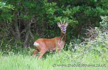 Bolton News Camera Club members capture beauty on our doorstep