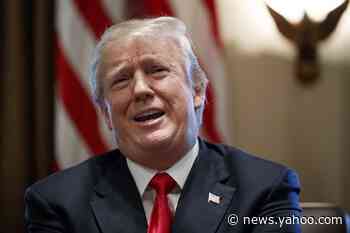 Opinion: The Supreme Court gave Trump a campaign gift in its DACA decision. He didn't even notice
