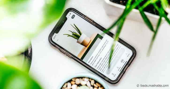 7 apps to keep your plants alive and well