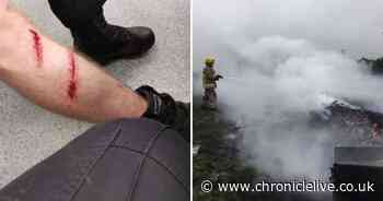 Police hunting gang of youths after 'vicious' attack on two officers