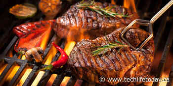 10 things to do for Father's Day in and around Edmonton - techlifetoday