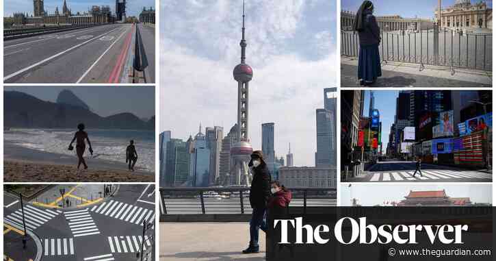 Why lockdown silence was golden for science