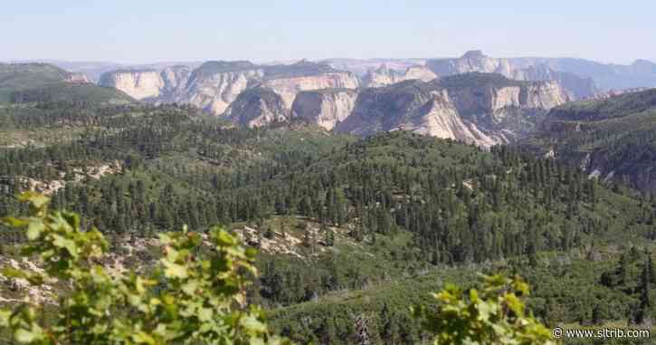 Locals worry about massive ‘glamping’ resort proposed near Zion National Park