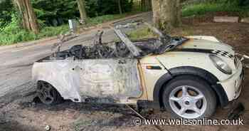 Police hunt arsonist who set fire to £16,000 Mini Cooper
