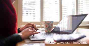 All of the jobs you can apply for in Wales now