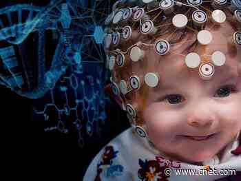 Babies: Part 2 arrives on Netflix     - CNET