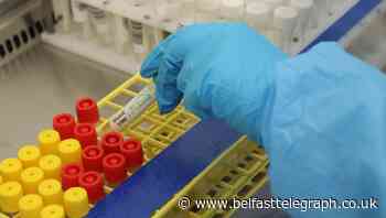 NI health trust labs record no new Covid-19 cases for first time since lockdown