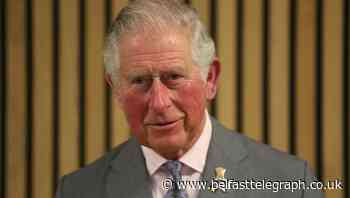 Charles: British Red Cross is shining example of compassion in action