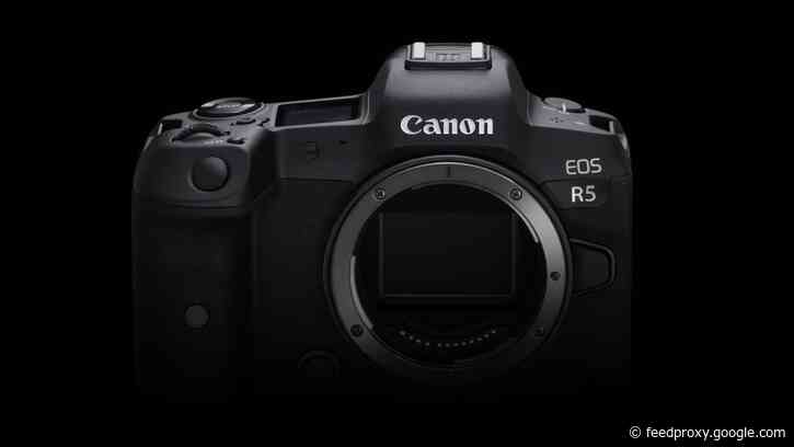 Why the Canon EOS R6 is shaping up to be a more exciting camera than the EOS R5