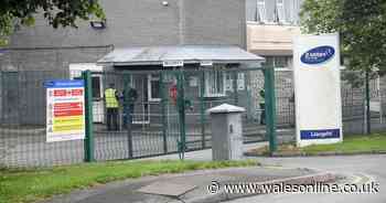 More coronavirus cases at Welsh chicken packaging plant