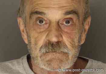 Police, DEA bust pot, psychedelic mushroom grow operation in Stanton Heights house