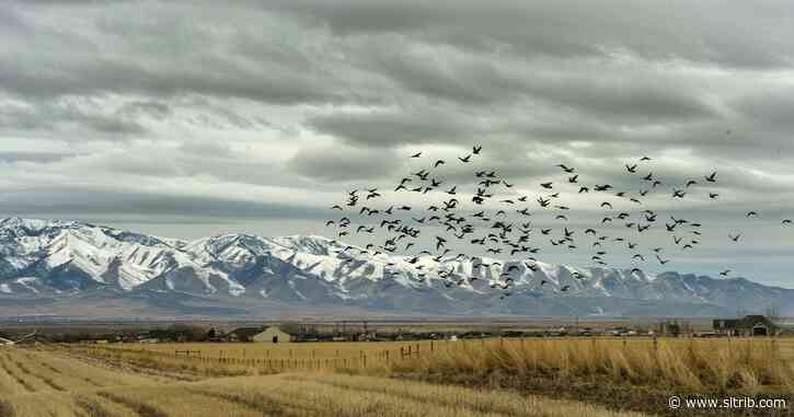 Tooele residents warned not to drink city water due to tank break