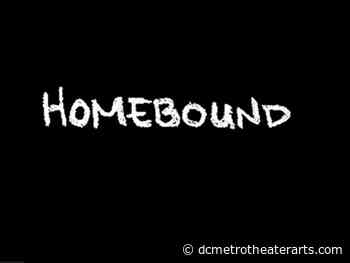 Catching up with Round House Theatre's 'Homebound' - DC Metro Theater Arts