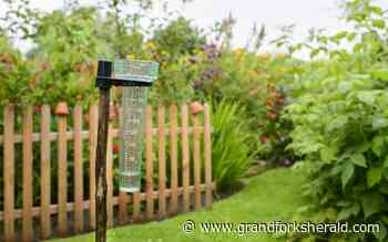 Rain moves Grand Forks Juneteenth celebration to the Empire Arts Center - Grand Forks Herald