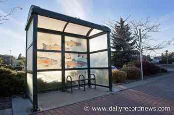 Arts Commission Creative Relief Fund offering grants to artistic community - Daily Record-News