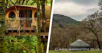 'Our treehouse business has lost £158,000 in lockdown'