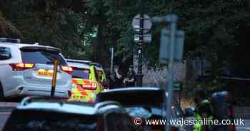Two in hospital with stab wounds after Reading town centre incident