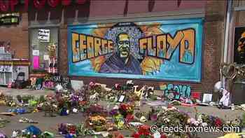 African countries up in the air over call for UN panel to examine 'systemic racism' in US