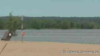 Ottawa Police want to speak to witnesses following Petrie Island drowning - CTV News