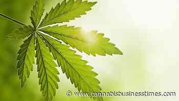 Louisiana Governor Signs Medical Cannabis Expansion into Law, New Jersey Assembly Approves Decriminalization Bill: Week in Review - Cannabis Business Times