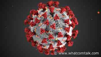 Free COVID-19 Testing at Sea Mar Bellingham Medical Clinic Every Tuesday and Thursday - whatcomtalk.com