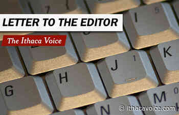 Letter to the Editor: 'In response to 87 medical professionals' - The Ithaca Voice