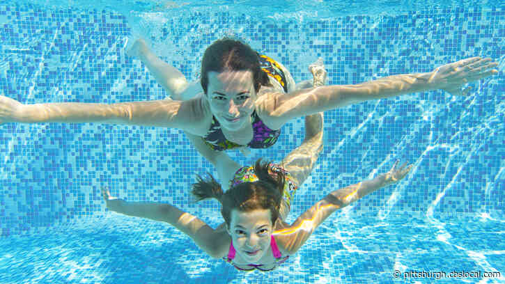 Demand For Backyard Swimming Pools Leads To Backlog, Shortages
