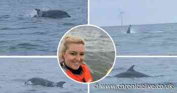'I felt honoured' See the amazing dolphin video taken by mum off Blyth beach