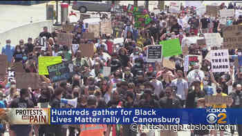 Hundreds Gather For Black Lives Matter Rally In Canonsburg